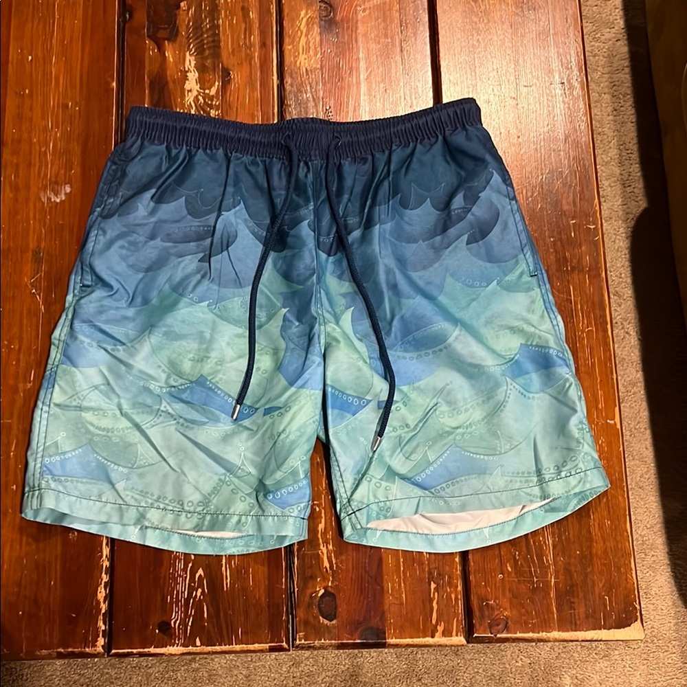 Men's Blue and Green Swim Shorts